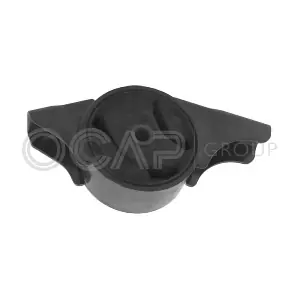 1226475 OCAP