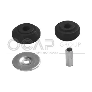 8400132 OCAP