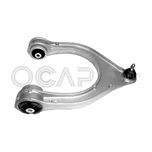 0393861 OCAP