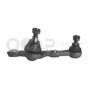 OCAP 0495497