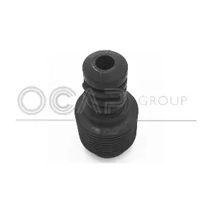 8500028 OCAP