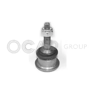 0401876 OCAP
