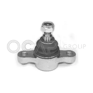 0404087 OCAP