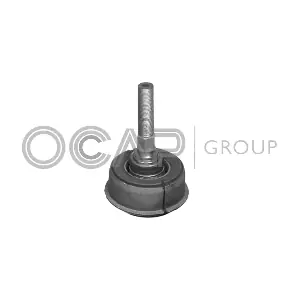 0400724 OCAP