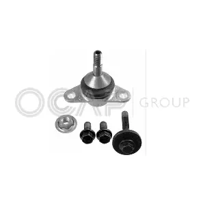 OCAP 0403841-K