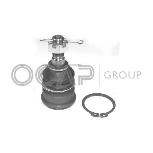 0404615 OCAP