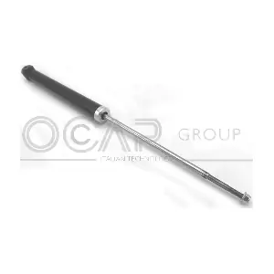 82222RU OCAP