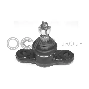 0404071 OCAP