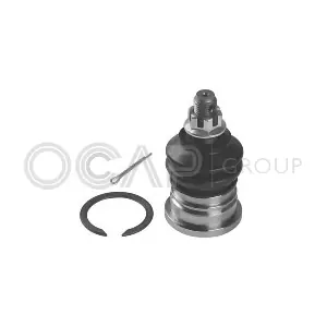 0404559 OCAP