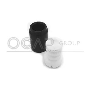8500067 OCAP