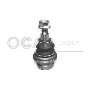 0405782 OCAP