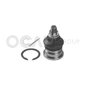 0404561 OCAP