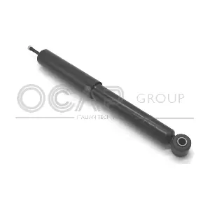 82355RU OCAP