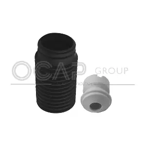 8500093 OCAP