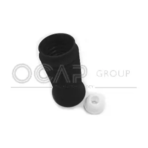 8500110 OCAP