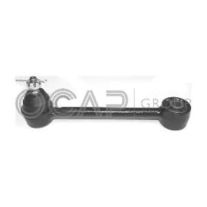 OCAP 0304073