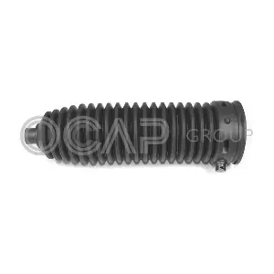 1211633 OCAP