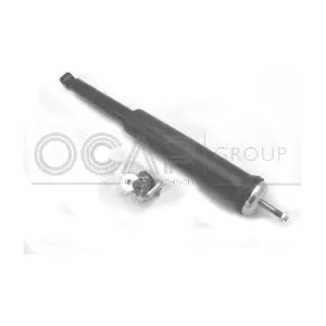 82022RU OCAP