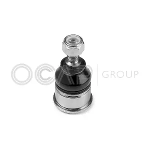 0402539 OCAP