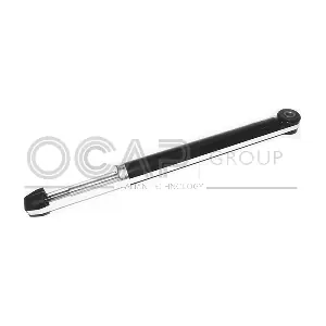 82584RU OCAP