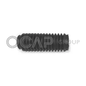 1211078 OCAP