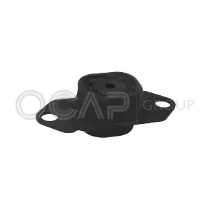 1226478 OCAP