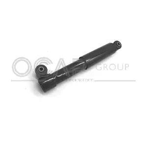 82119RU OCAP