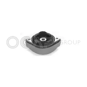 1225063 OCAP