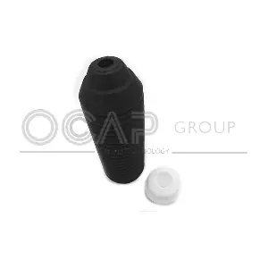8500091 OCAP