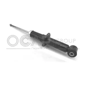 82389RU OCAP