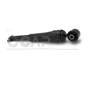 82015RU OCAP