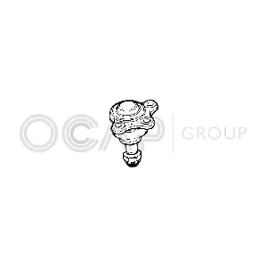 0400339 OCAP