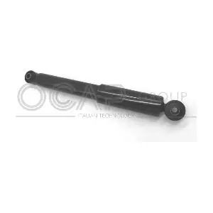 82241RU OCAP