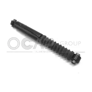 82007RU OCAP