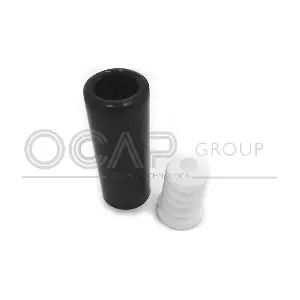 8500103 OCAP