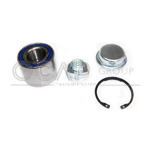 OCAP 6120480