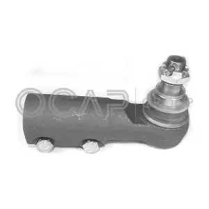 0297136 OCAP