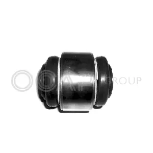 0404239 OCAP