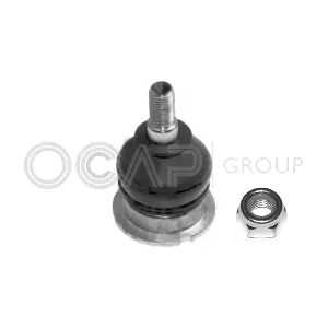 0403351 OCAP