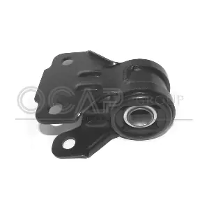 1216419 OCAP