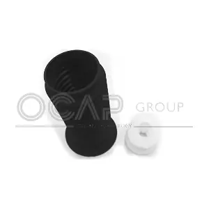 8500107 OCAP