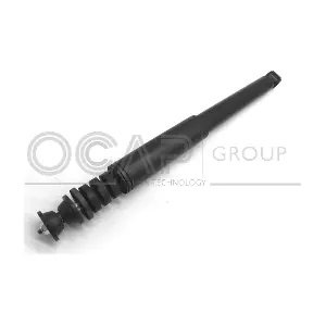 82412RU OCAP