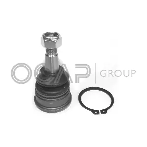 0402688 OCAP