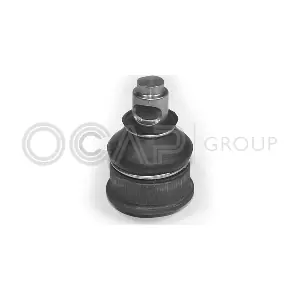 OCAP 0400199