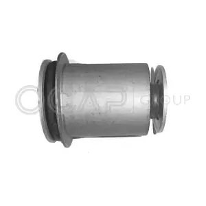 1216181 OCAP