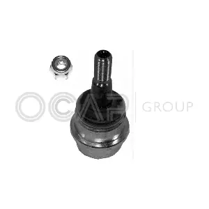 OCAP 0403058