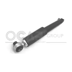 82251RU OCAP