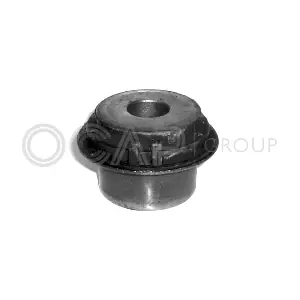 1215121 OCAP