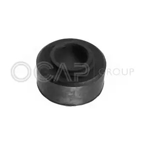 1215388 OCAP