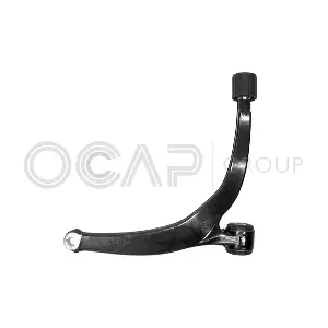 0380307 OCAP